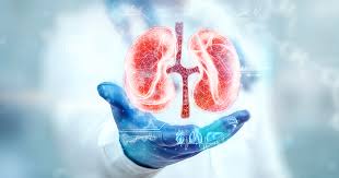 Top Urologist in Noida, India – Expert Care by Dr. Vimal Dassi